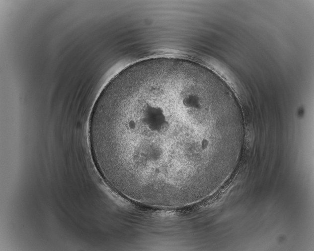 X0000099301283200805090945