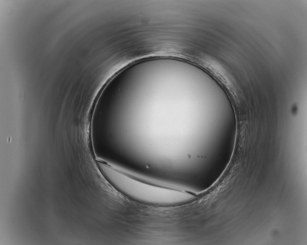 X0000099301284200805090945