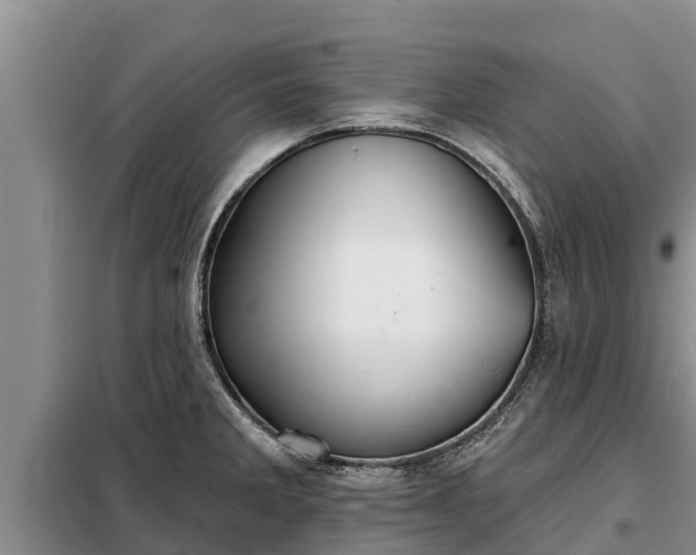 X0000099301285200805090945