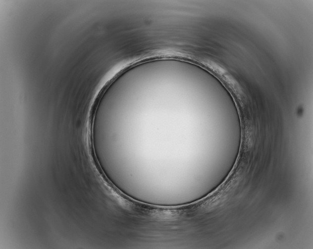 X0000099301286200805090945