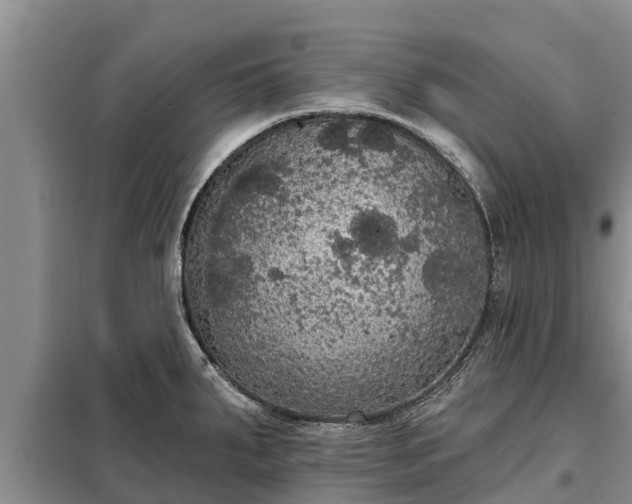 X0000099301287200805090945