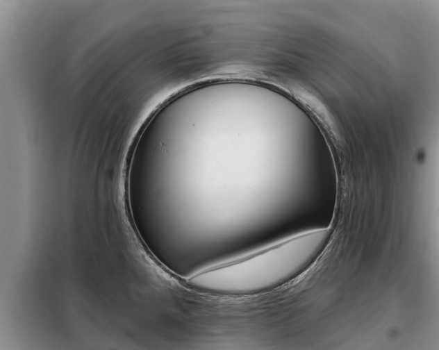 X0000099301288200805090945