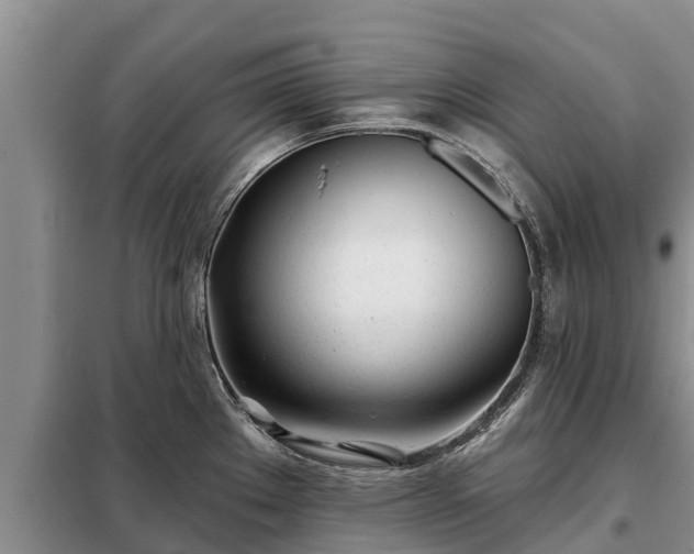 X0000099301289200805090945