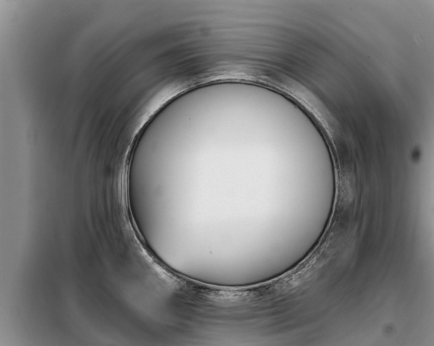 X0000099301290200805090945