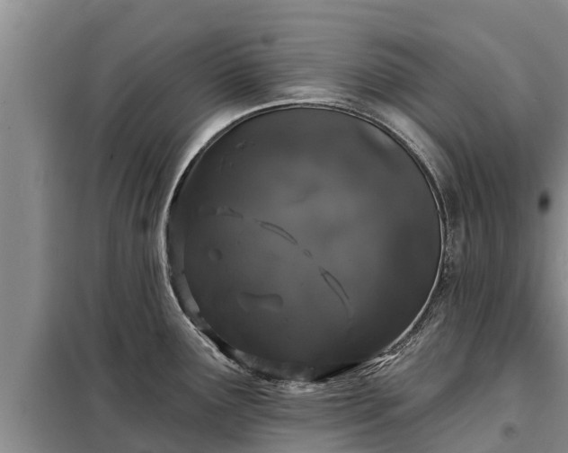 X0000099301291200805090945