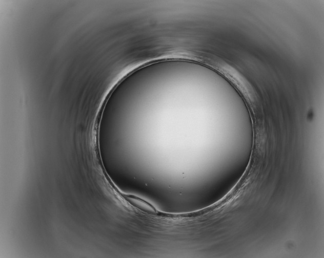 X0000099301292200805090945