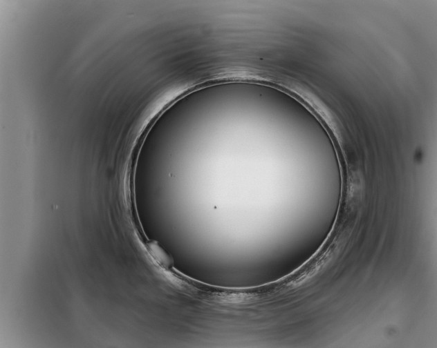 X0000099301293200805090945