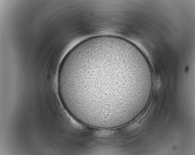 X0000099301294200805090945