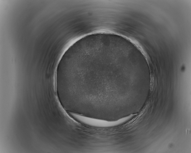 X0000099301295200805090945