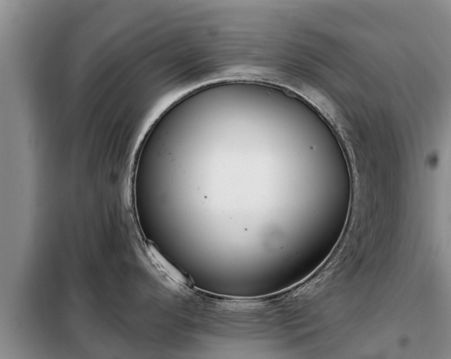 X0000099301296200805090945