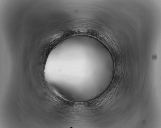 X0000099301297200805090944