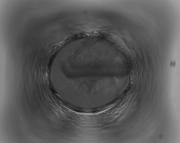 X0000099301298200805090944