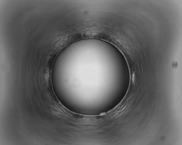 X0000099301299200805090944