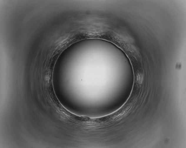 X0000099301300200805090944