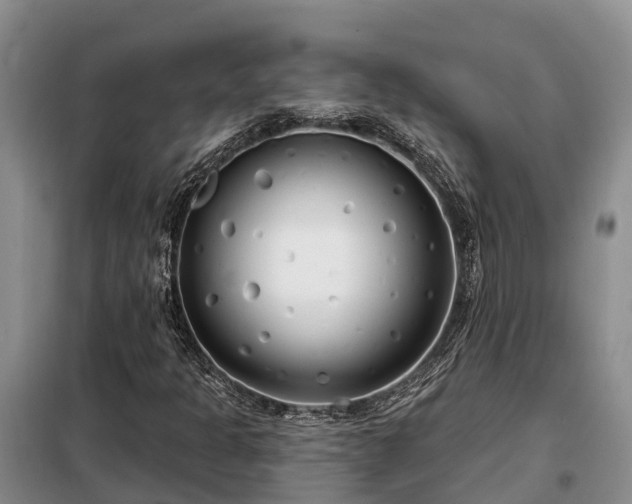 X0000099301301200805090944