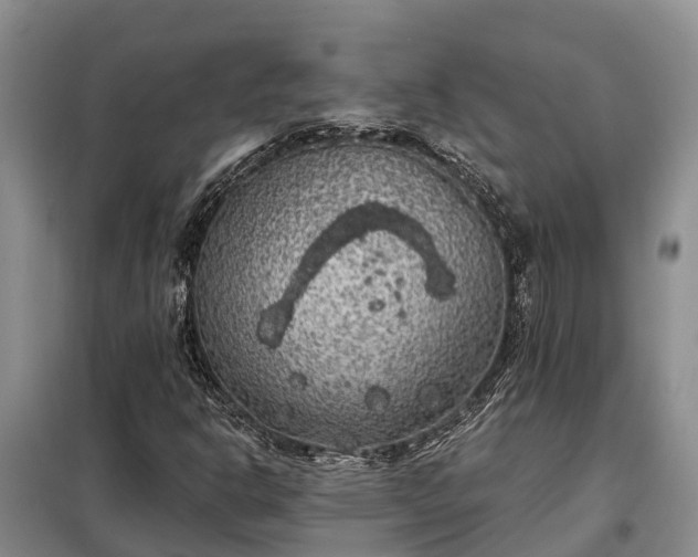 X0000099301302200805090944