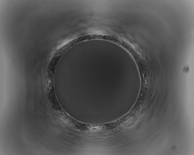 X0000099301303200805090944