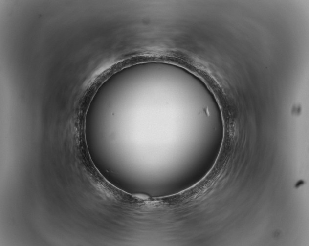 X0000099301304200805090944