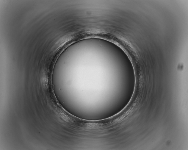 X0000099301305200805090944