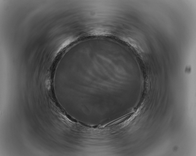 X0000099301306200805090944