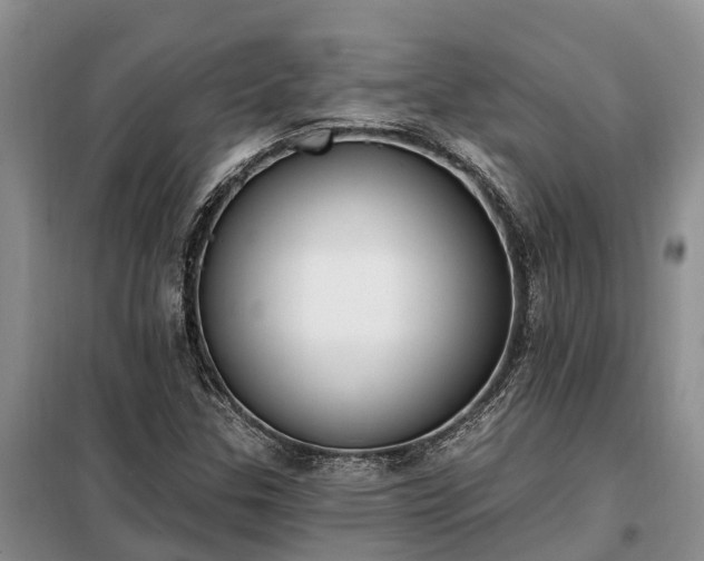 X0000099301307200805090944