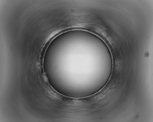 X0000099301308200805090944