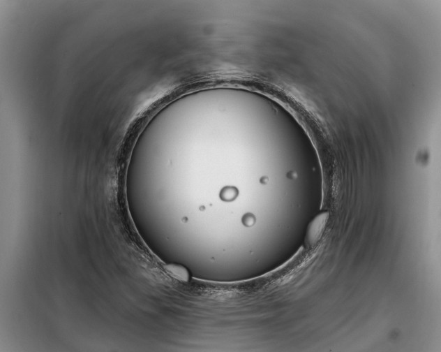 X0000099301309200805090944