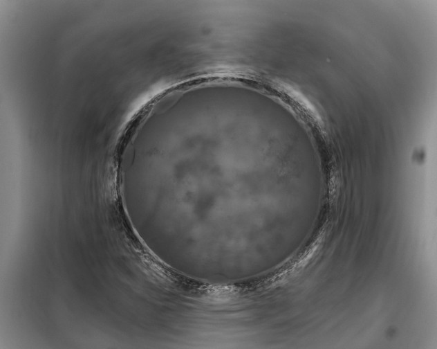 X0000099301310200805090944