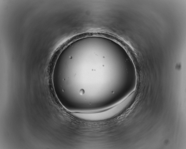 X0000099301311200805090944