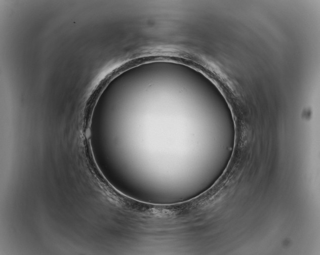 X0000099301312200805090945