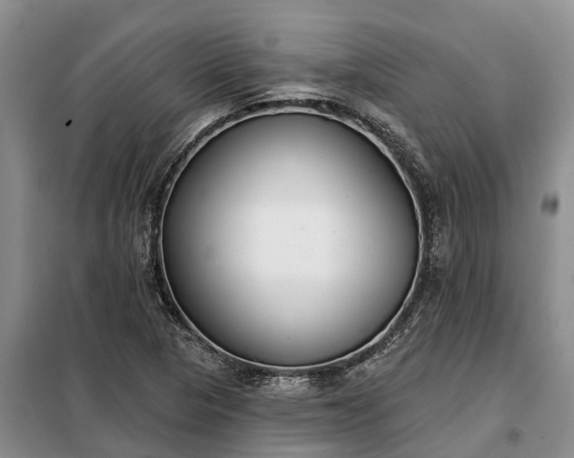 X0000099301313200805090945