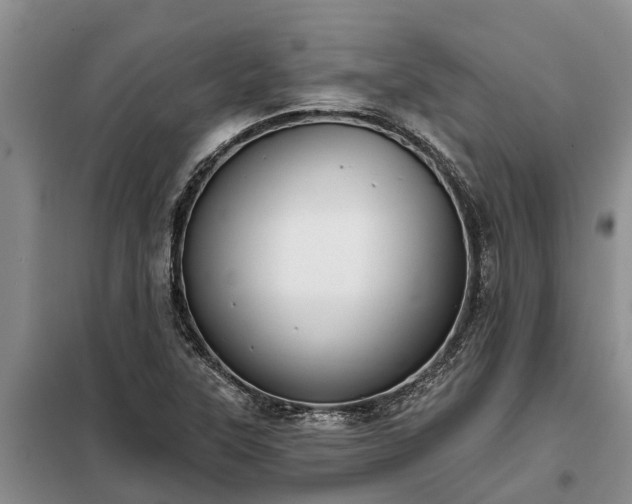 X0000099301315200805090945