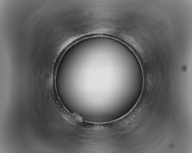 X0000099301316200805090945