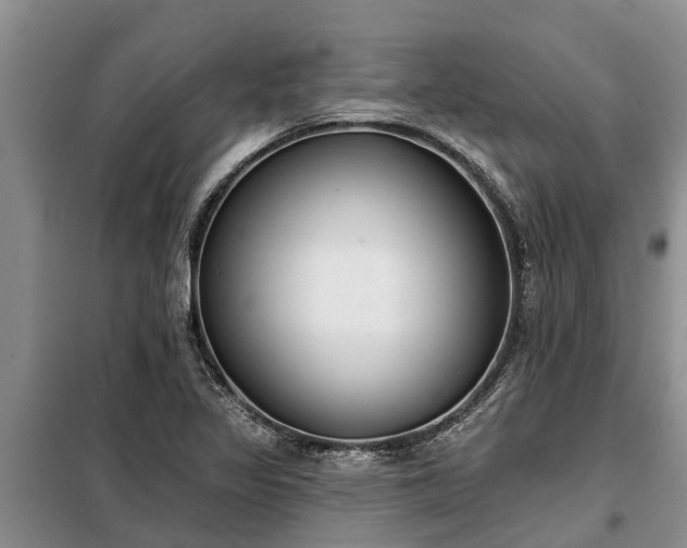 X0000099301317200805090945