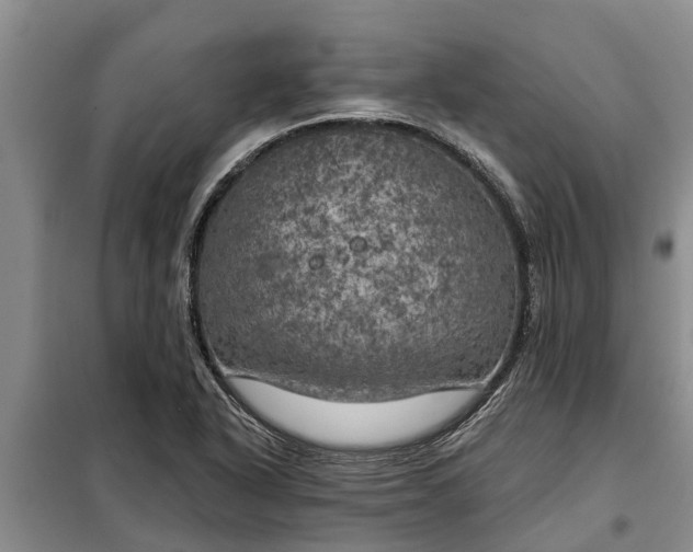 X0000099301318200805090945