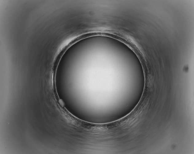 X0000099301320200805090945