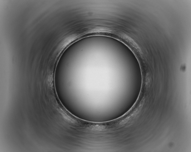 X0000099301321200805090945