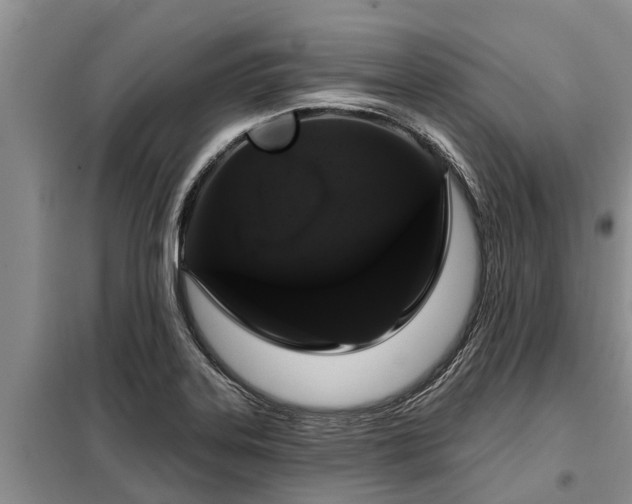 X0000099301323200805090945