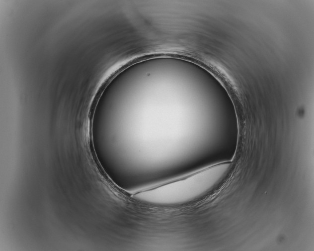 X0000099301324200805090945