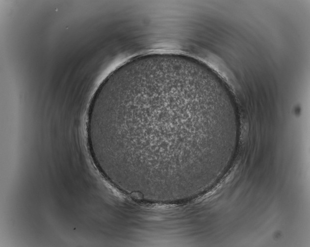 X0000099301325200805090945