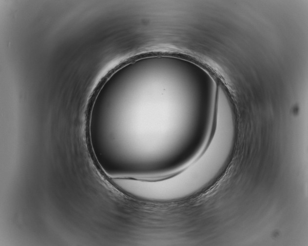 X0000099301326200805090945