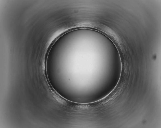 X0000099301328200805090945