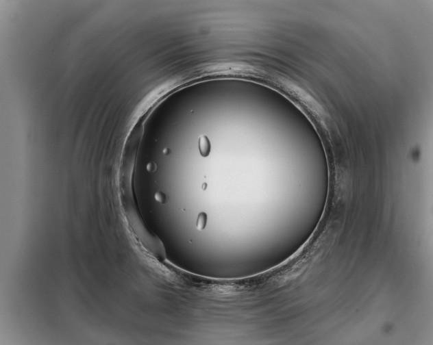 X0000099301330200805090945