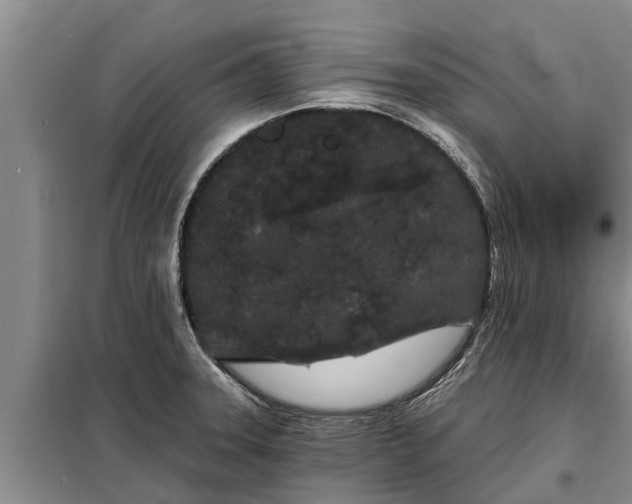 X0000099301331200805090945