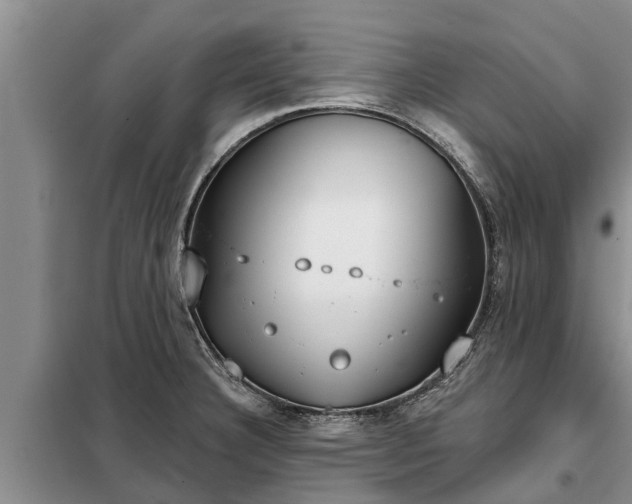 X0000099301332200805090945