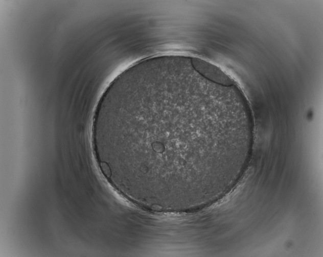 X0000099301333200805090945