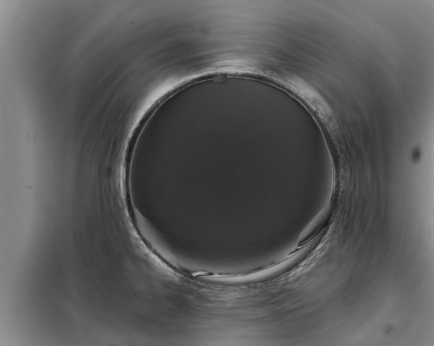 X0000099301334200805090945