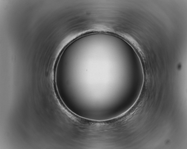 X0000099301335200805090945