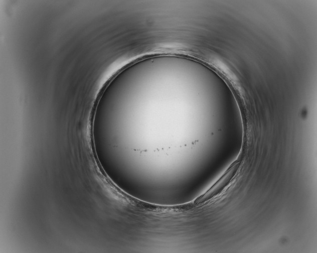 X0000099301336200805090945