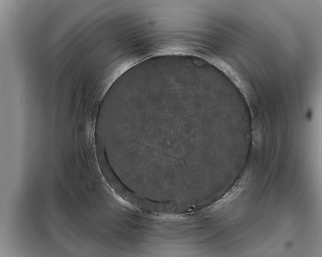 X0000099301337200805090945